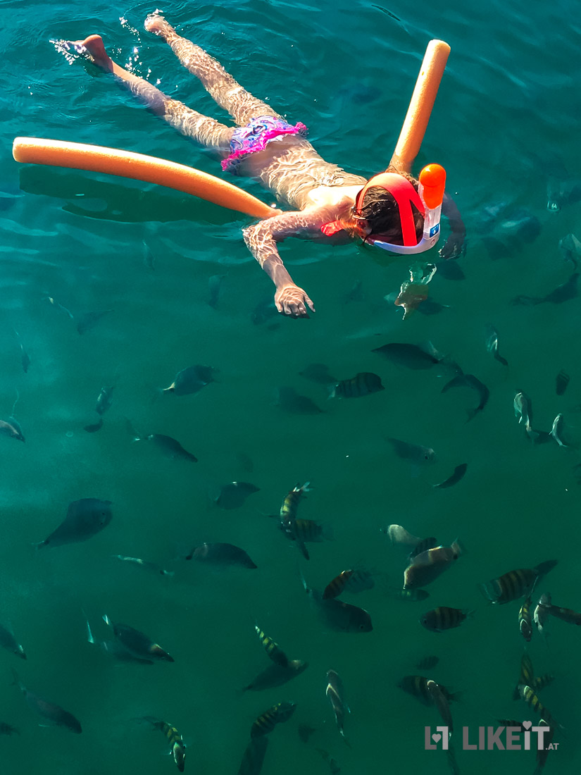 Schnorcheln mit Fischen in der Bucht von Paraty, Brasilien